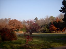 2003-11-10_Kleiner_Park